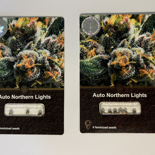 ყიდვა თესლი Auto Northern Lights