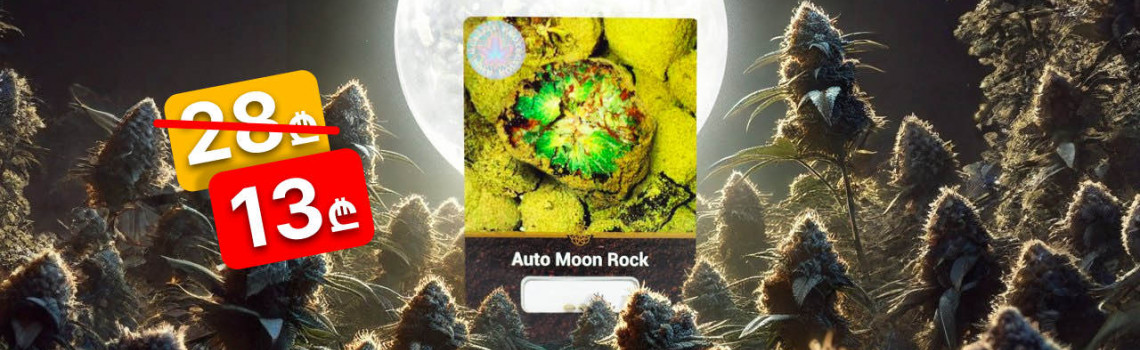 moon-rock-sale