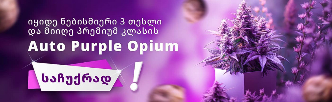 auto-purple-opium
