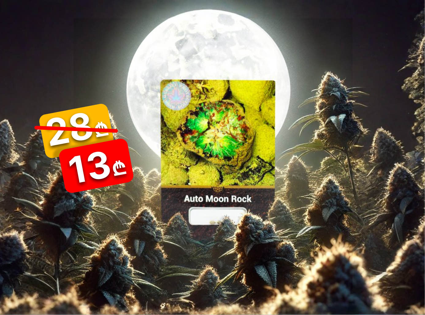 moon-rock-sale